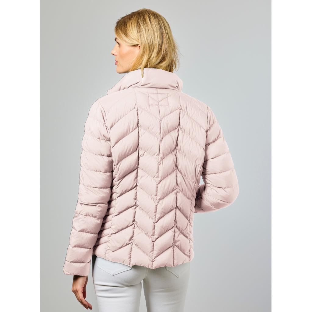 Junge Daisy Kv. 60 33-Rose