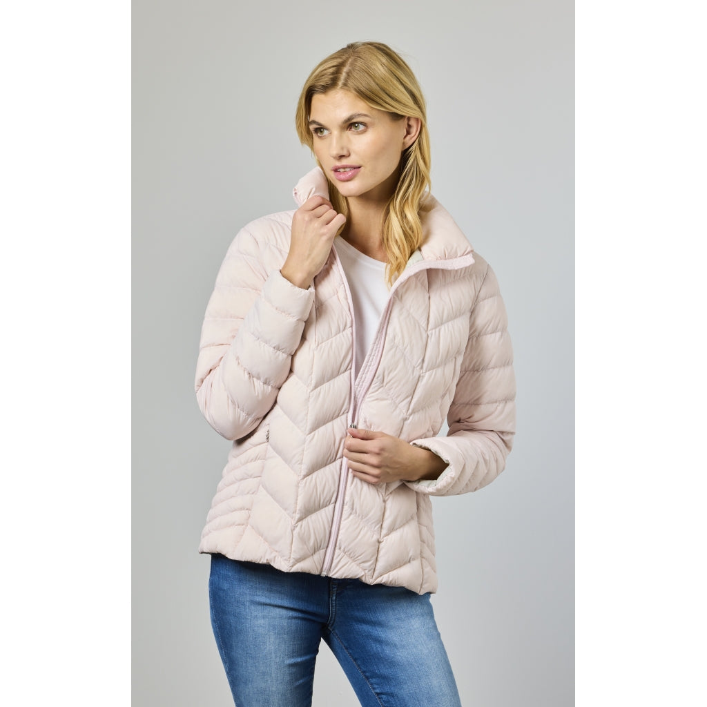 Junge Daisy Kv. 60 33-Rose