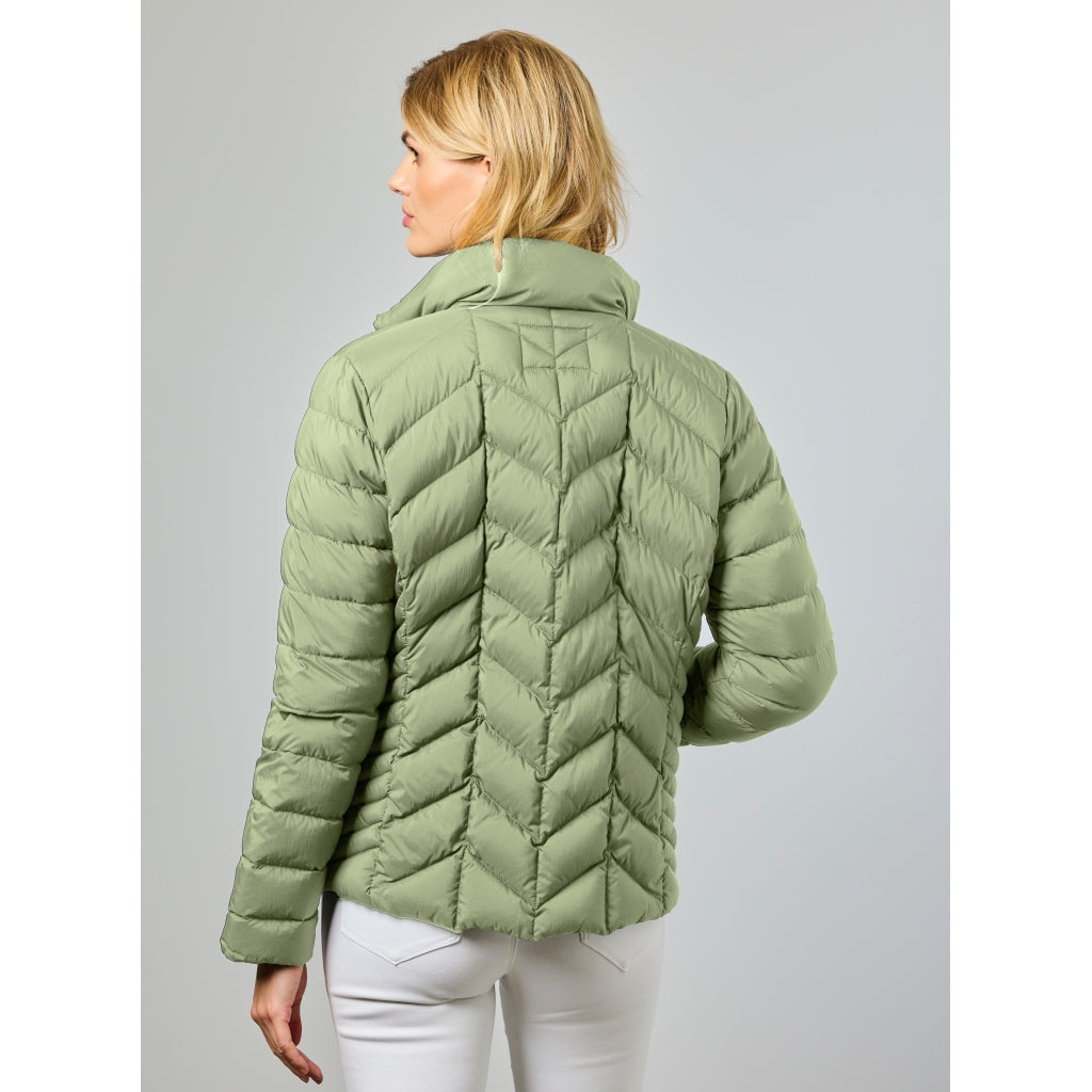 Junge Daisy Kv. 60 41-Cactus