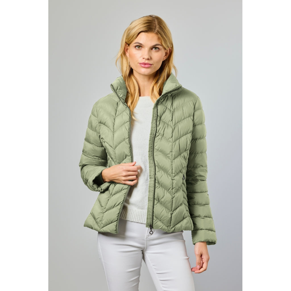Junge Daisy Kv. 60 41-Cactus
