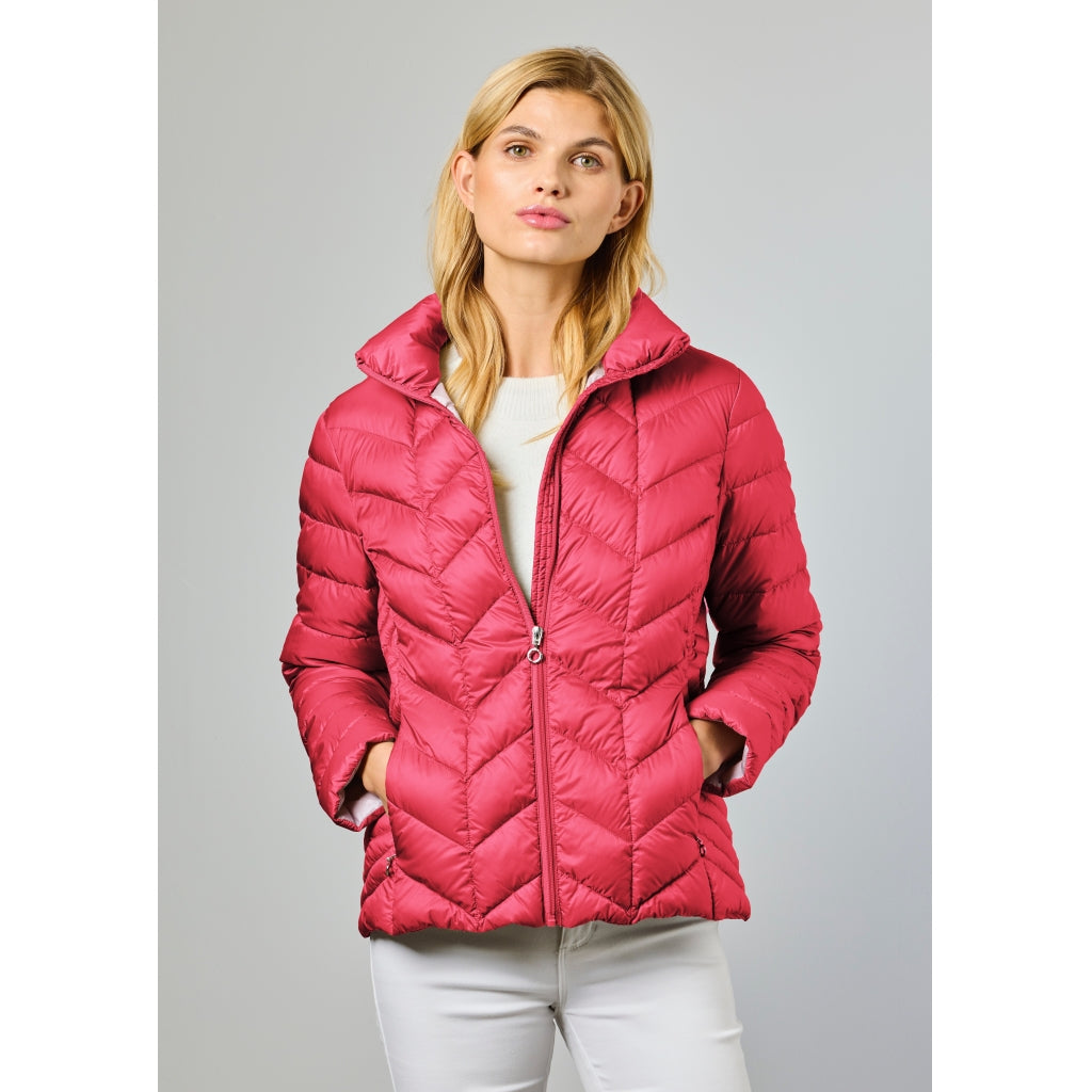 Junge Daisy Kv. 62 38-Raspberry