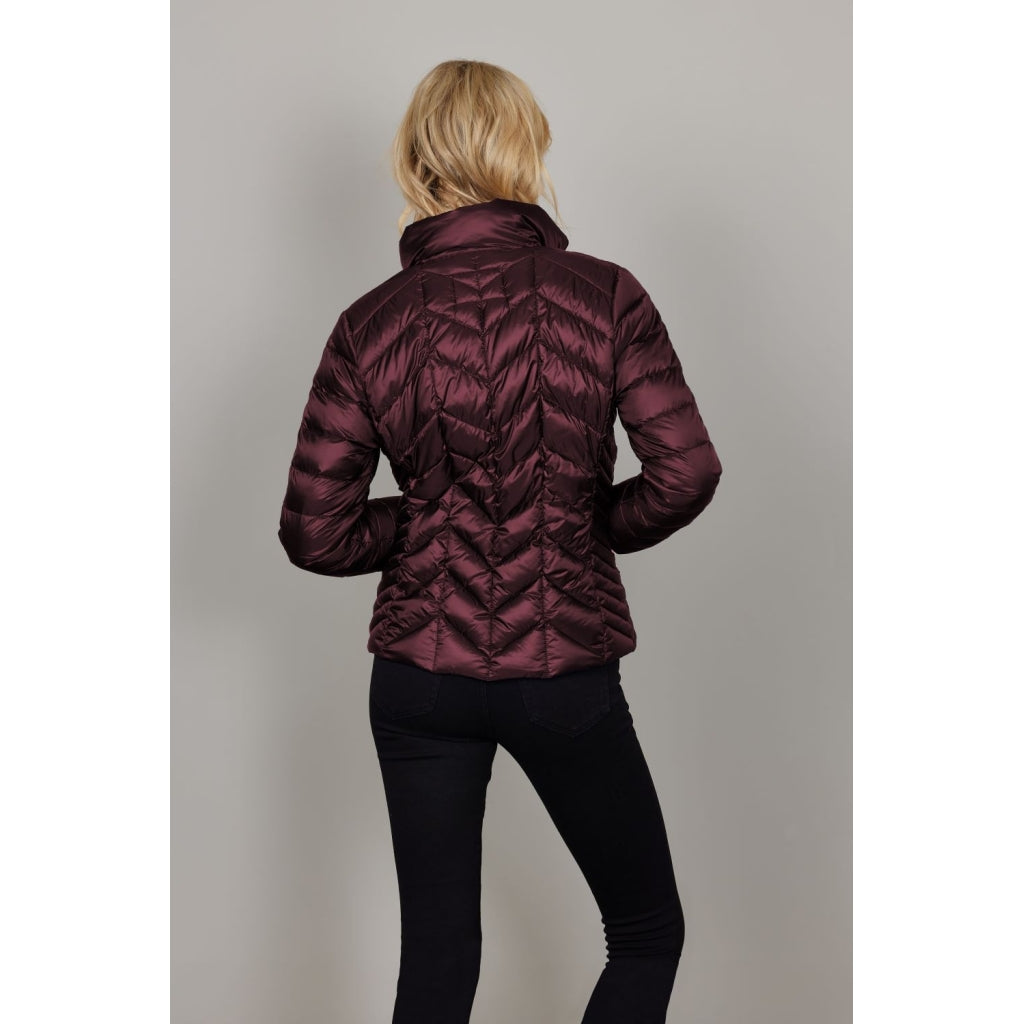 Junge Daisy Kv. 62 38-Wine