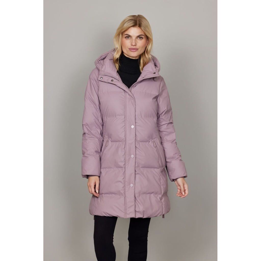 Junge Myrna Kv. 90 33-Rose