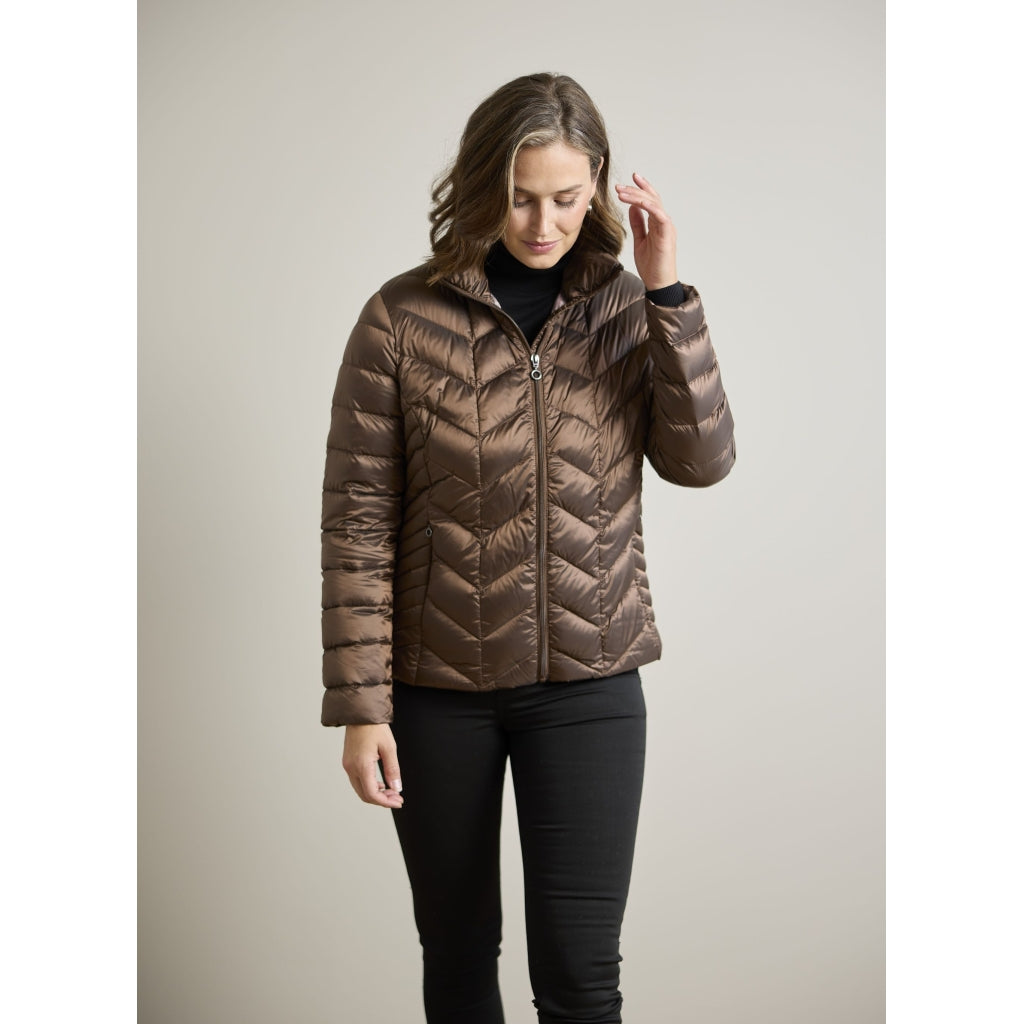 Junge Daisy Kv. 62 64-Brown